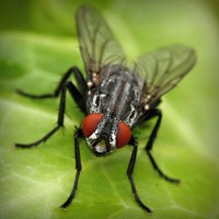 /album/styletemer/photolia-a01-jpg/