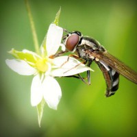 /album/styletemer/photolia-a02-jpg/