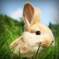 /album/styletemer/photolia-a03-jpg/