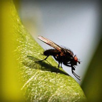 /album/styletemer/photolia-a04-jpg/