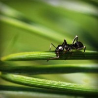 /album/styletemer/photolia-a05-jpg/