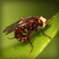 /album/styletemer/photolia-a06-jpg/