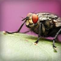 /album/styletemer/photolia-a08-jpg/